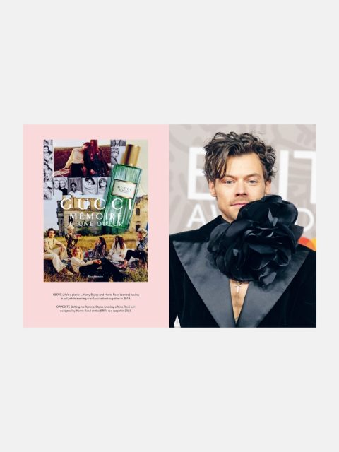Alternative view of Buch - Icons of Style - Harry Styles