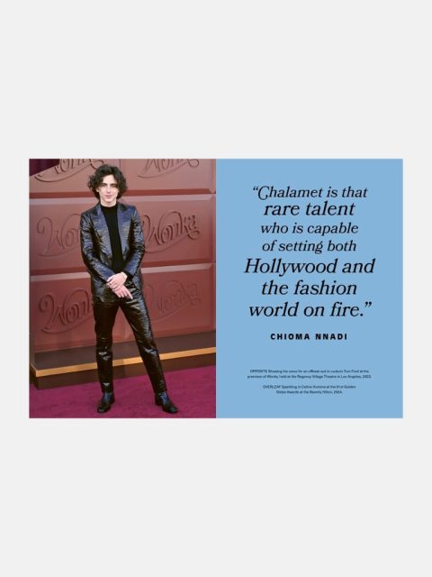 Alternative view of Buch - Icons of Style: Timothée Chalamet