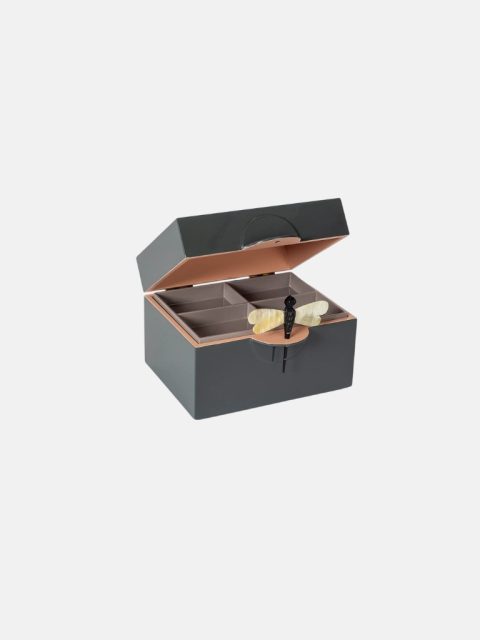 Alternative view of Box - Lack, B, Coal